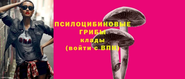 твердый Армянск