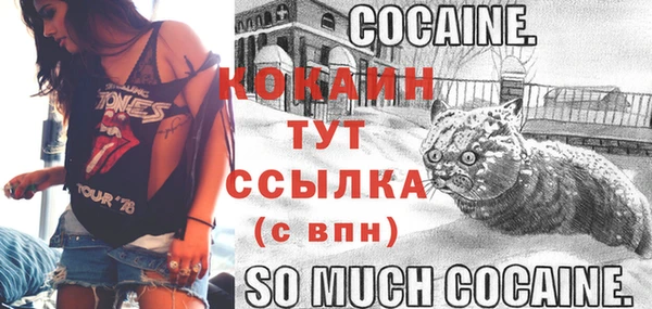 твердый Армянск