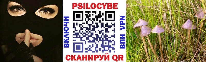 Галлюциногенные грибы Psilocybine cubensis  Радужный 